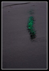 web_IMG_6234