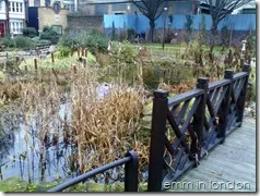 Red Cross Garden