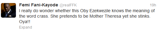 Femi Fani Kayode Should Be Taken In And Refrained From Making Hateful Speeches Against The IGBOS - Oby Ezekwesili