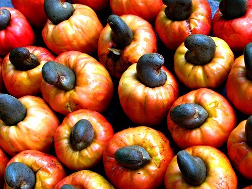 India's Cashew Processors Cartelise To Check Import