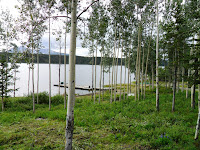 Teslin Lake 