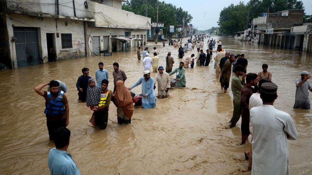 Flood disaster in Pakistan! The death toll is too high!