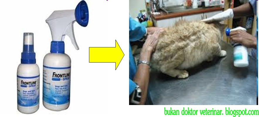 Bukan doktor veterinar