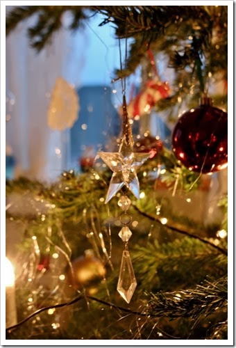 IMG_1338 (427x640)