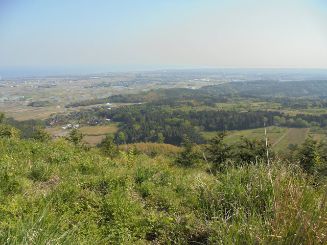 大平山からの眺め