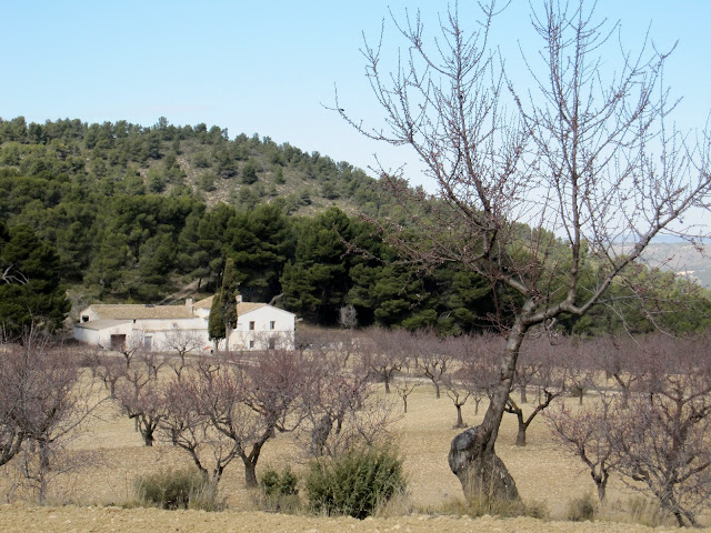 Mas del Carrascalet Carrascar de l'Arguenya