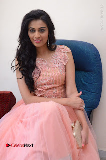 Actress Neha Hinge Stills in Pink Long Dress at Srivalli Teaser Launch  0079.JPG