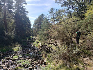 Arroyo de la Dehesa