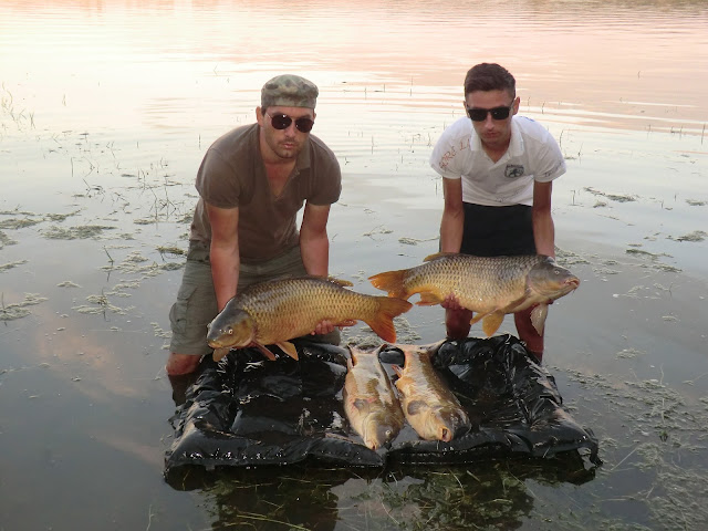 Oltenia Fishing @ Ebro 2013 Chiprana