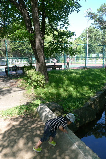 P1080415.jpg