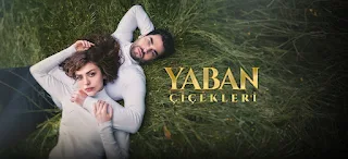 Yaban Cicekleri