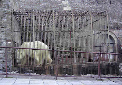 zoo animals in cages