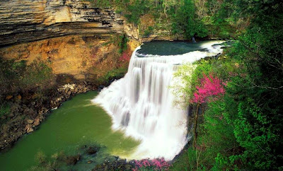 Sungai Dan Hutan Sumber Kehidupan Kita