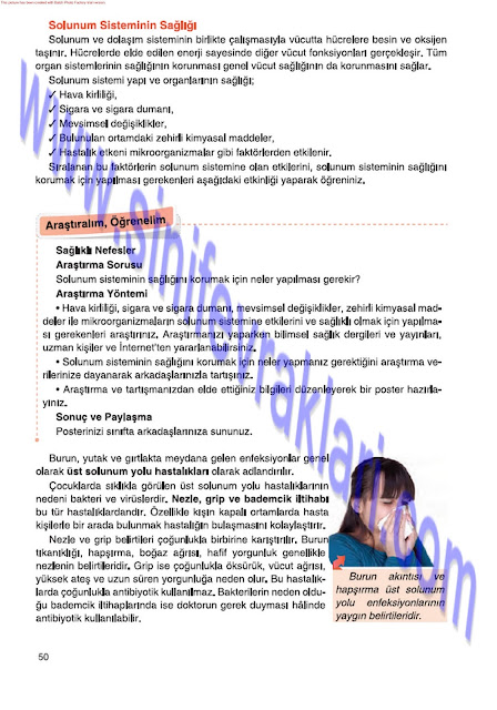 6. Sınıf Fen Bilimleri Tuna Matbaa Yayınları Ders Kitabı Cevapları Sayfa 50