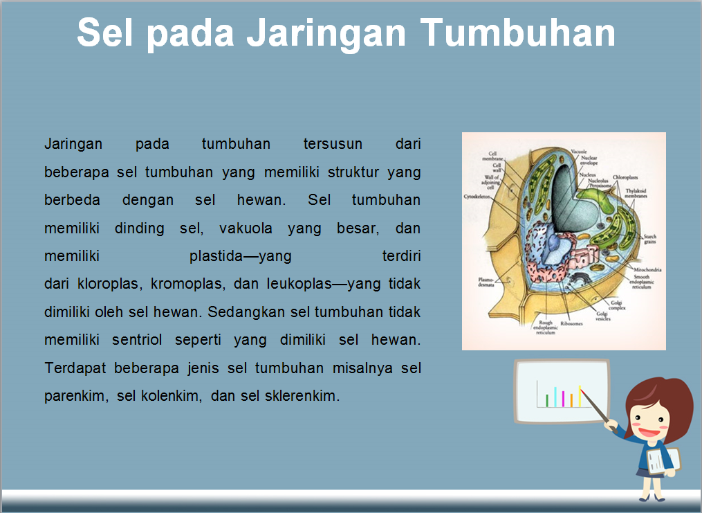  Materi  Biologi Kelas  11  Jaringan  Tumbuhan Lengkap Format PDF 