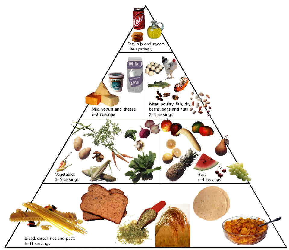 the description of the healthy eating pyramid is one of effective ...