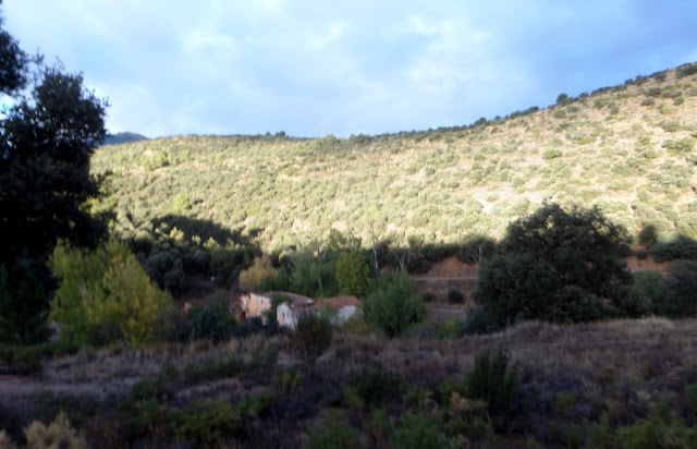 Lugros.Toros de la Peza