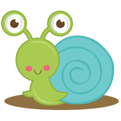 cute snail 