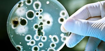 Microbios y microbiologia