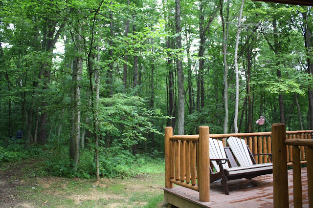 Woods around Trail Ridge Cabin in Hocking Hills, Ohio