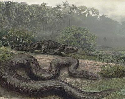 Largest Snake