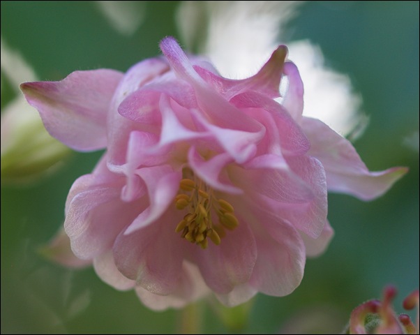 P6167534