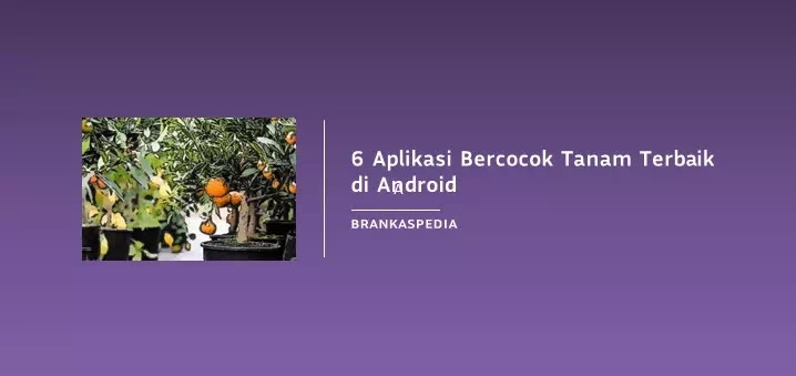 Aplikasi Bercocok Tanam Terbaik di Android