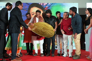 Mixture Potlam Movie Audio Launch Feb 2017   009.JPG