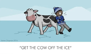 Man trying to push a cow while the ice is cracking beneath its hooves.