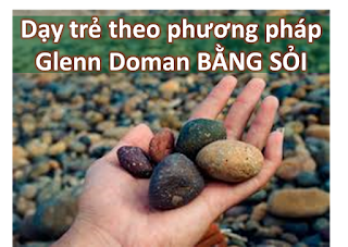 day-the-theo-phuong-phap-glenn-doman-bang-soi