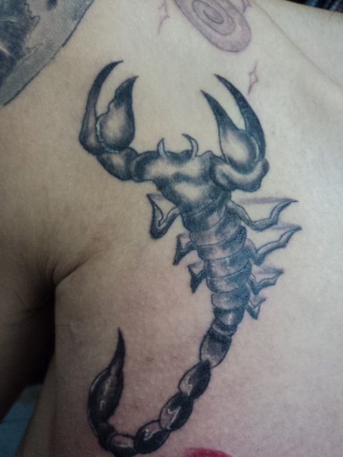 Octattoo Studio Victor Tatuaje Escorpion