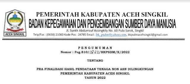 Unduh Hasil Pendataan Non ASN Aceh Singkil 2022