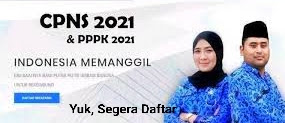 CPNS dan PPPK 2021 : Ini Instansi Paling Banyak dan Minim Pelamar