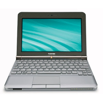 Netbook Toshiba NB205-N323BN