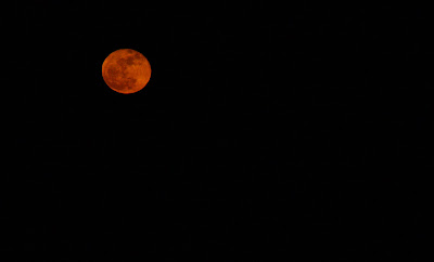 moon rise march 2008