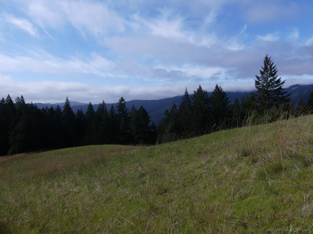 080: grass and trees topped with congratulatory clouds