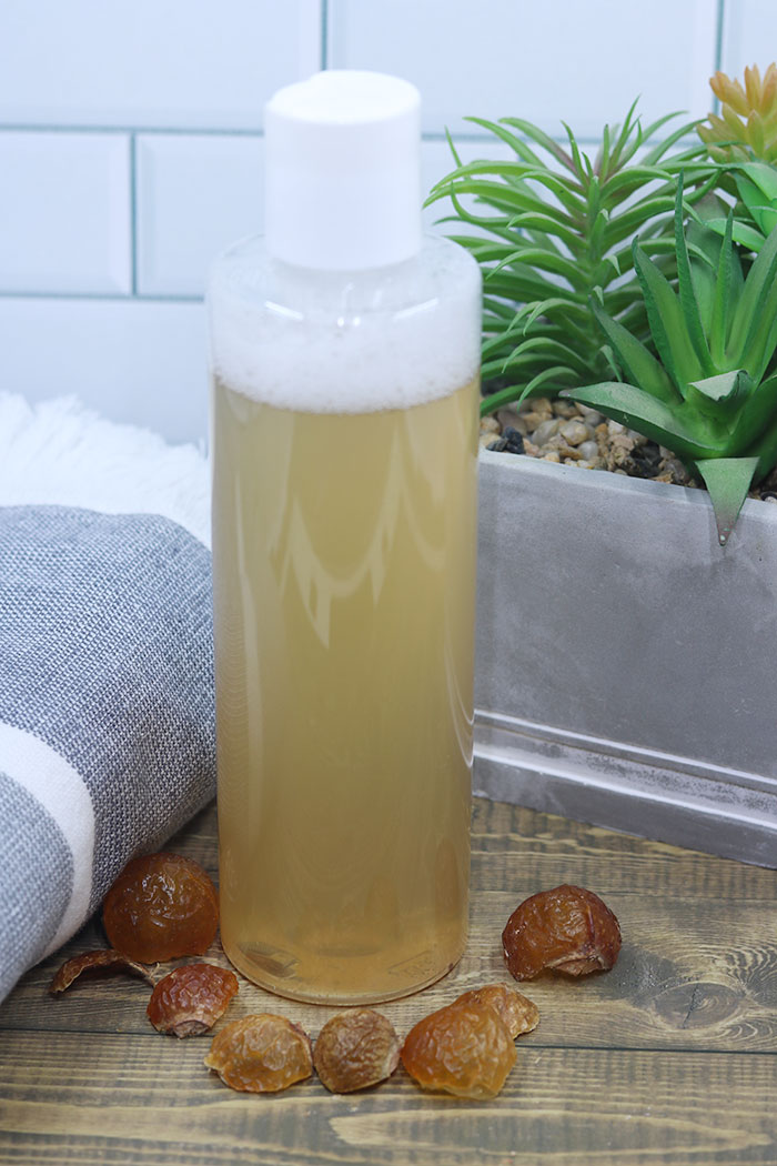 How to Make Soapnut Shampoo Recipe - Everything Pretty