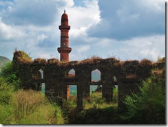 Chand Minar (5)