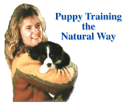 Basic Puppy Training The Ultimate Dos And Donts Guide