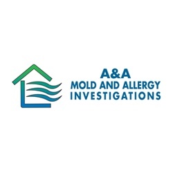 Best Mold Inspection Company