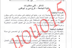 وظائف كلية الجامعة بجامعة زايد