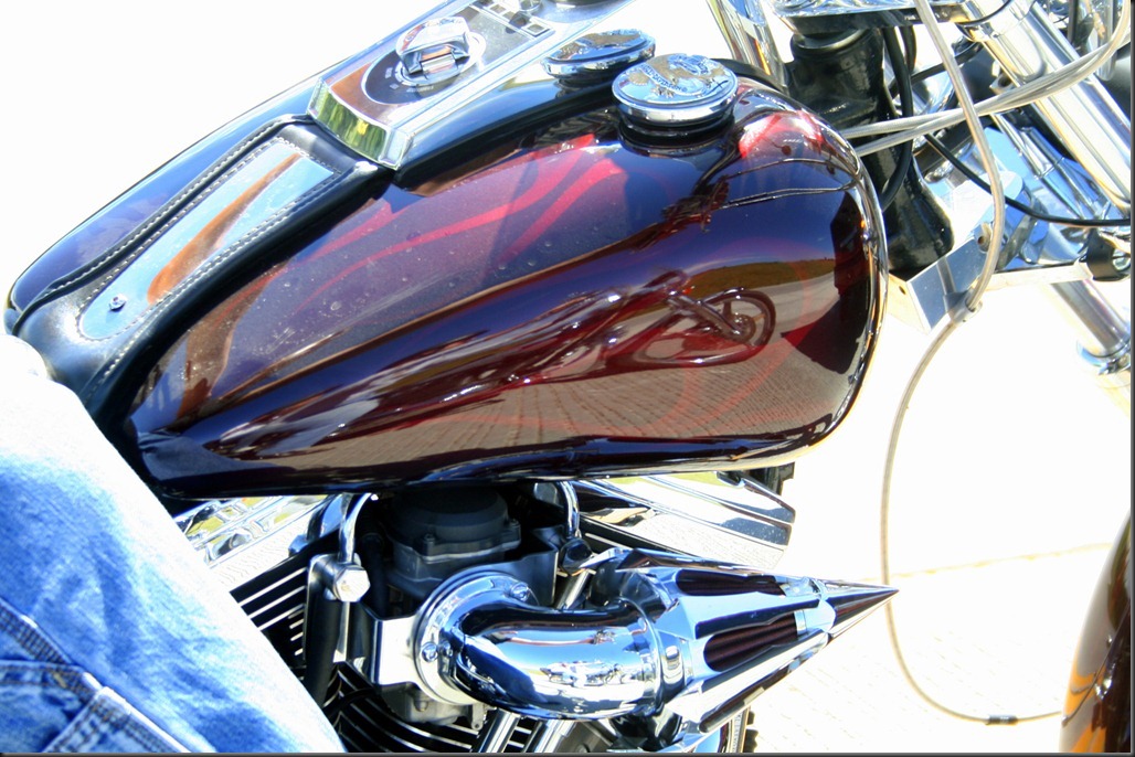 Sturgis2010DericsPicks-003