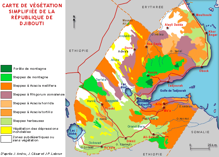 Grande carte Djibouti
