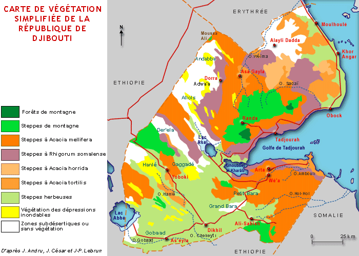 Faune/Flore Afrique de l'Est: Flore - Carte Djibouti