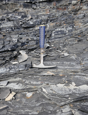 'A bad time to be alive': Study links ocean deoxygenation to ancient die-off