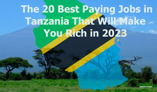 The 20 Best Paying Jobs in Tanzania That Will Make You Rich in 2023