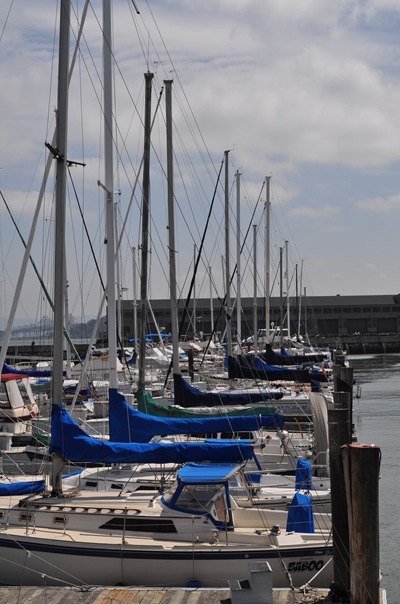 DSC_0379
