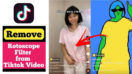 How to remove rotoscope filter on TikTok video