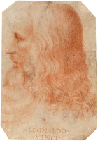 gravura das feições de Leonardo da Vinci   