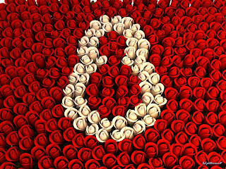 Bijele i crvene ruže za 8. mart čestitke slike besplatne pozadine za desktop download